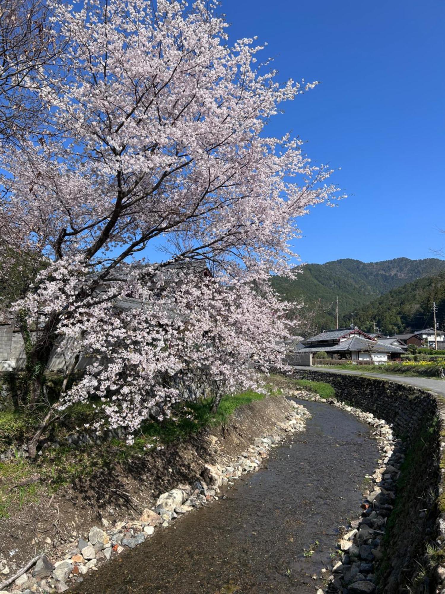 Ryoso Chatani Kyoto Ngoại thất bức ảnh