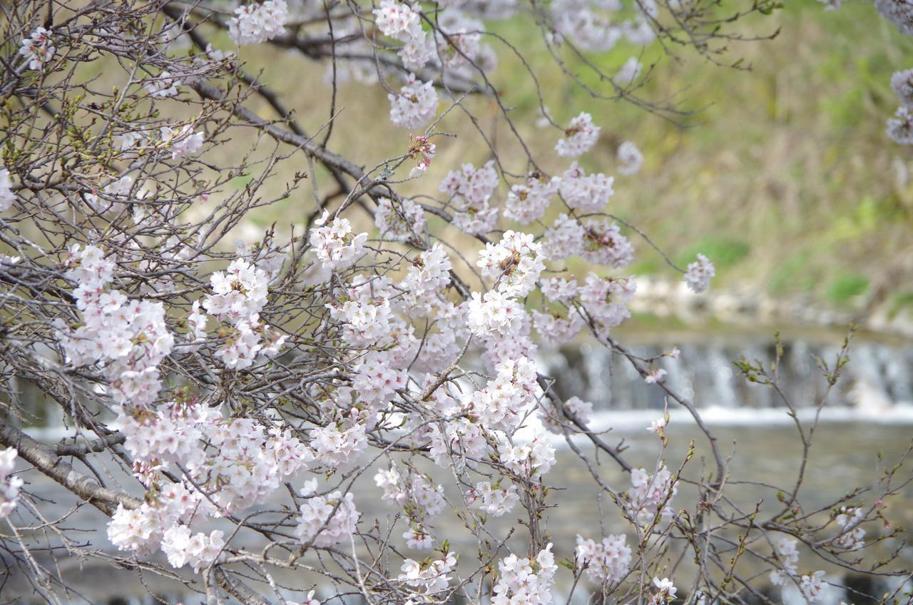 Ryoso Chatani Kyoto Ngoại thất bức ảnh